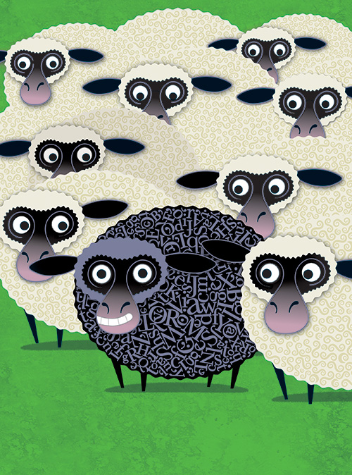 blacksheep